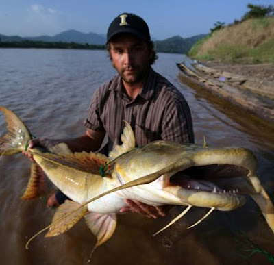 9 Ikan Teraneh dan Menakutkan yang Hidup di Air Tawar