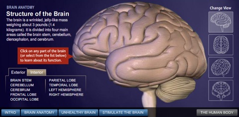 national geographic brain guide screenshot