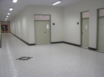 probrains labs