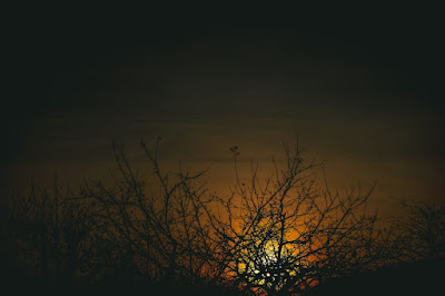 A glimmer of hope