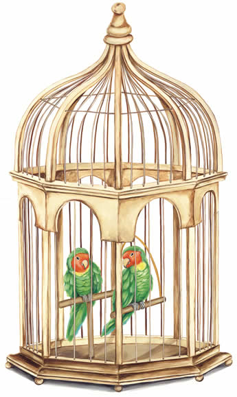 Singing Birds In Cages