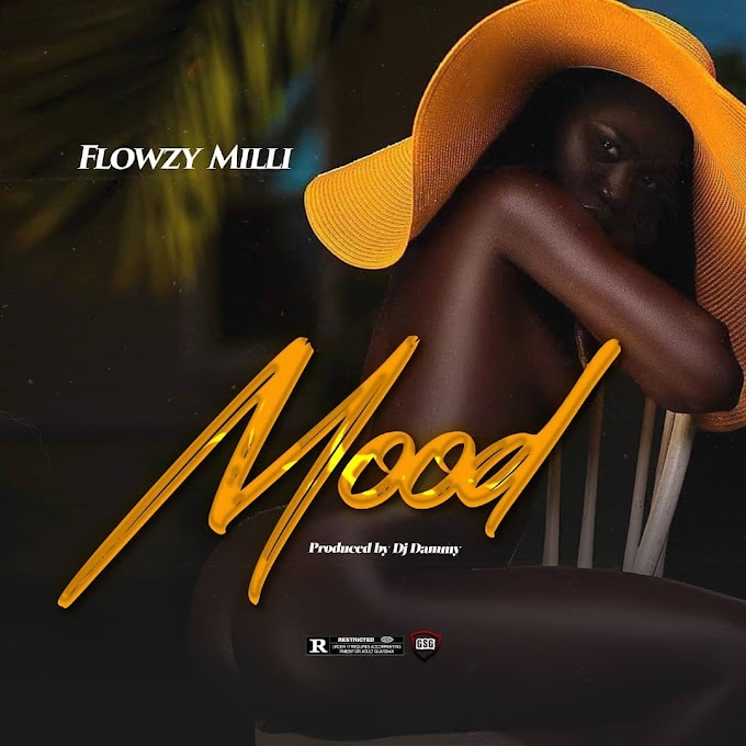 Flowzy Milli – Mood 