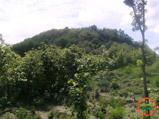 Gunung Bancak Magetan Antara Krowe Ngentep