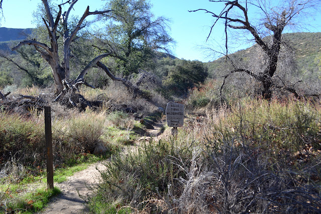 wilderness sign along the trail