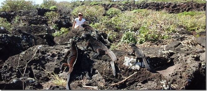 Galapagos 012