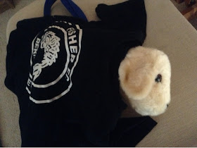 andrex puppy toy with Fisher FC t shirt over it