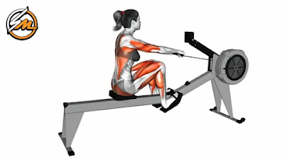 6 Exercise Machines That Help Burn Visceral Fat And Build Muscle