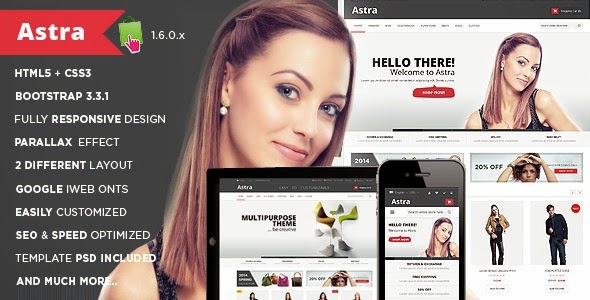 Best Responsive Premium Themes 2015