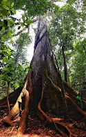 Volcan Arenal - Costa Rica