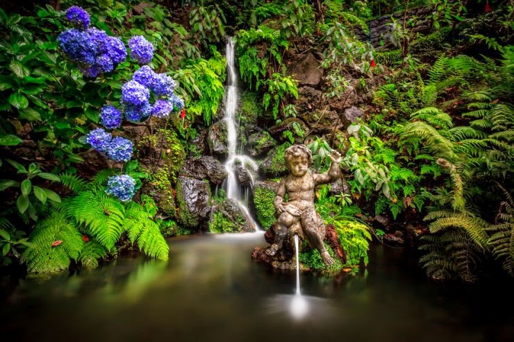 The Most Beautiful Botanical Gardens in Madeira