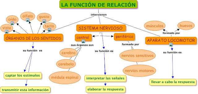 http://www.escueladeverano.net/conocimiento_medio/todo/interactivas/actividades_interactivas_unidad_5/actividades_unidad_5/indice.htm