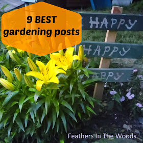 Feathers in The Woods: 9 best gardening posts