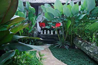 Tropical garden design plans