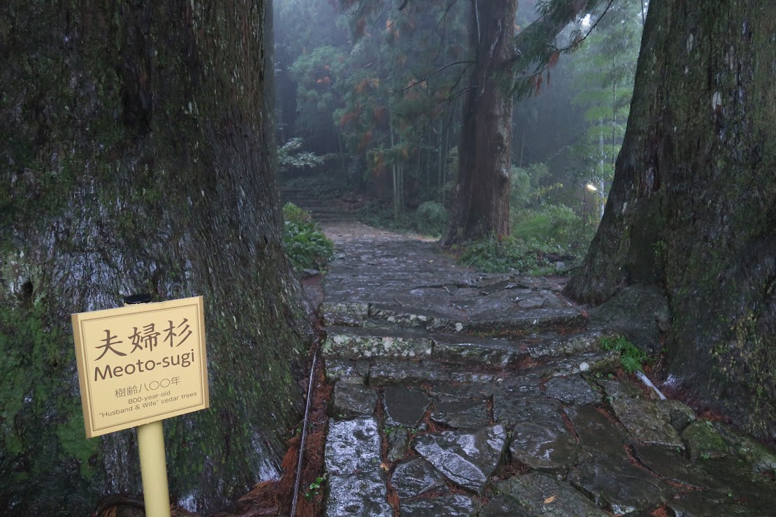 Walking up the Daimon-zaka to Kumano Nachi Taisha in heavy rain