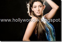 pakistani models. pakistani actresses. desi babes. desi girls. indian girls (1)