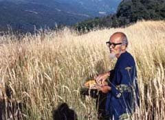 Remembering a great man Masanobu Fukuoka