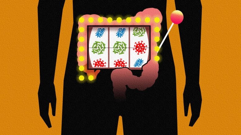 The Birth Of Modern Man Your Gut Microbiome Shapes Your Life But