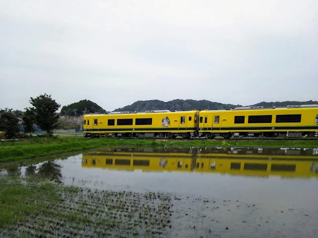 いすみ鉄道　国吉　田んぼ