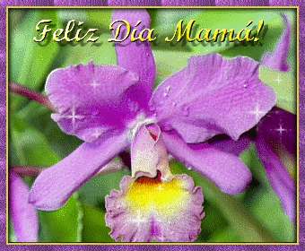 GIFS DIA DE LA MADRE (24)