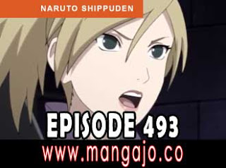 Naruto Shippuden 493 Indo
