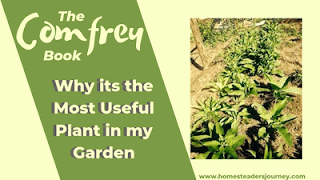 Comfrey Benefits so many things! Livestock, the garden, healing support for the body and healthy skin! This ebook goes into details on how to use it, grow it and harvest it! Recipes included! #comfreybenefits #herbgarden #homesteadgarden