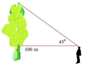 Rasio Trigonometri