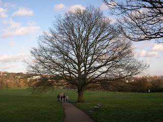 Camden Park