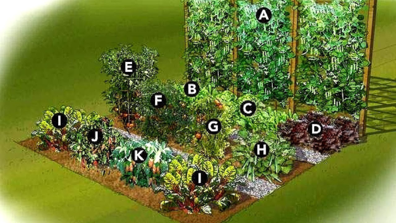 Small Vegetable Garden Designs