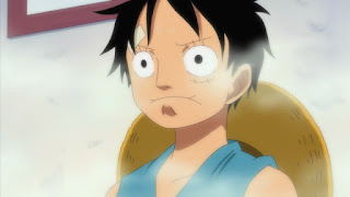 ワンピースアニメ 麦わらのルフィ  Monkey D. Luffy ONE PIECE