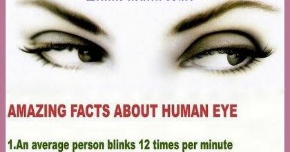 AMAZING FACTS ABOUT HUMAN EYES  Sri lanka Funny images 