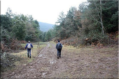 Una pista desciende por nuestra derecha