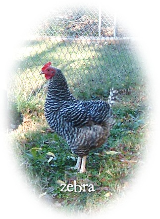 DSCF4202 edit
