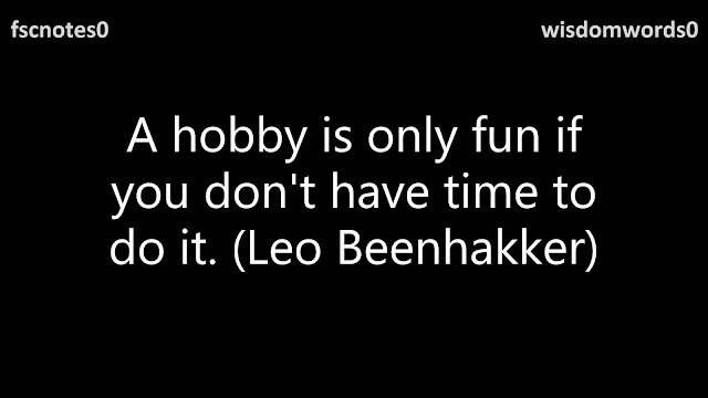 A hobby is only fun if you don't have time to do it. (Leo Beenhakker)