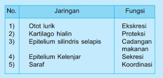 Contoh Soal Biologi Kelas XI SMA/MA dan Jawabannya Bab Struktur dan Fungsi Sel Penyusun Jaringan Hewan