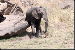 October 24, 2012 scratch that itch