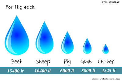 water footprint