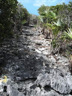 One of the trails on Warderick Wells