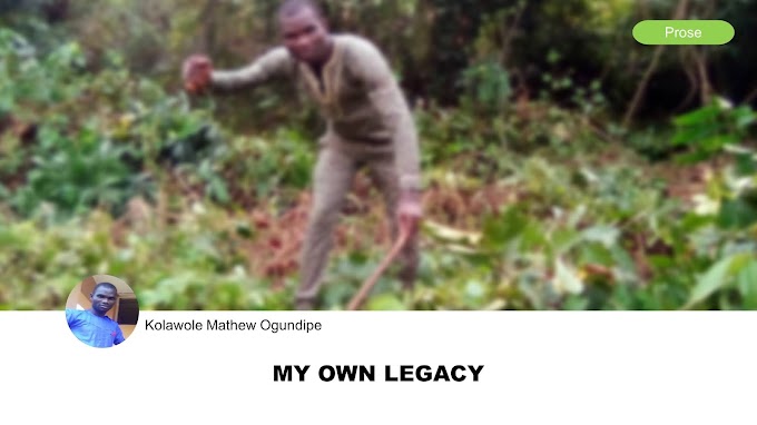 My Own Legacy by Kolawole Mathew Ogundipe