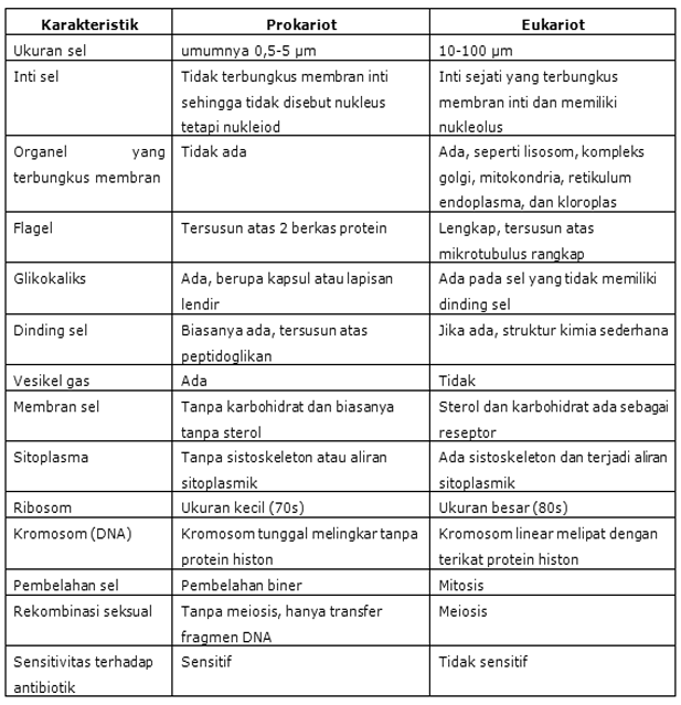 PROKARIOT dan EUKARIOT