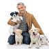 From Aggression to Popularity: How Cesar Millan Helped Reunite a Family and Their German Shepherd