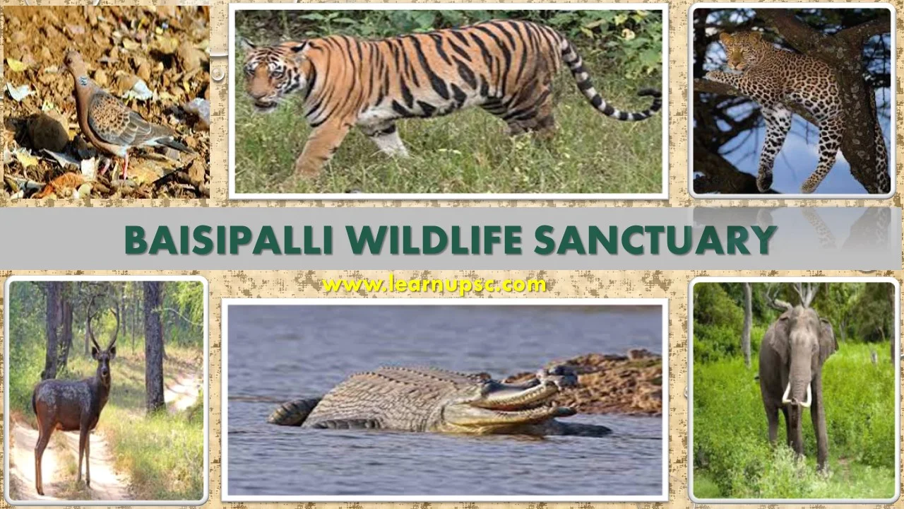 Baisipalli Wildlife Sanctuary