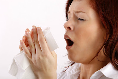 sneezing facts