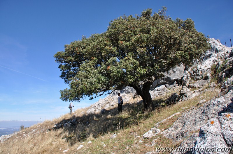 Subida al Cerro Malaver