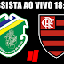 Assista ao vivo Altos-PI x Flamengo 