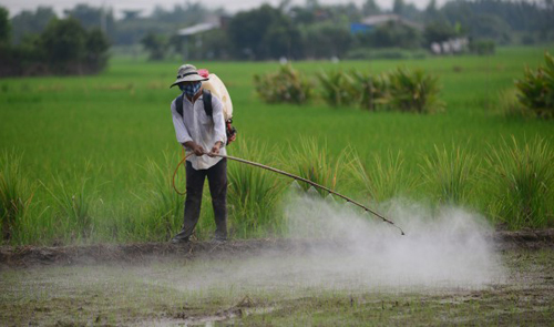 Jenis dan Sumber Pencemaran Tanah Gurugeografi id