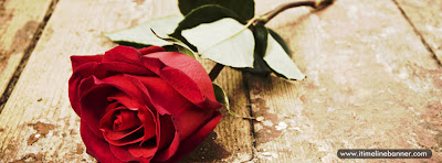 Red Rose Facebook Cover