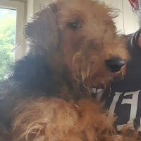 Roger Update
