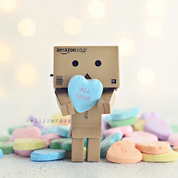 Wallpaper Danbo Box @ digaleri.com