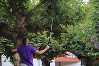 Concurso de lanzamiento de chapela en las fiestas de El Regato