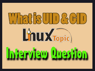 In This Post we cover, What is UID in Linux, What is GID in Linux, What do you understanding of UID and GID in Linux, UID 1000, Default UID value,What is uid and gid for the root user?